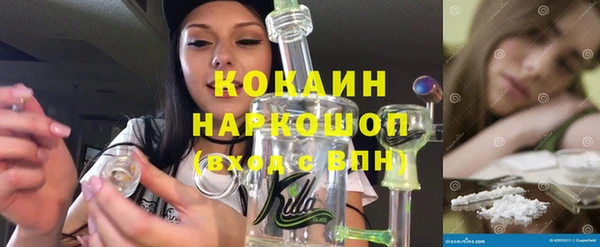 гашик Ельня